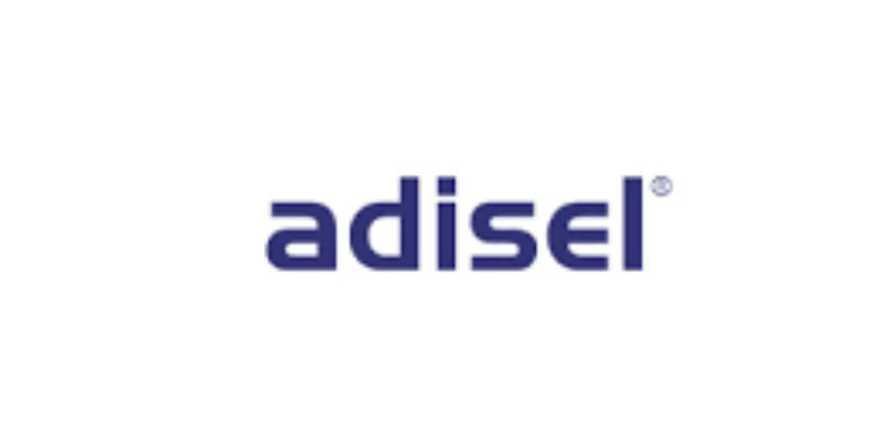 Adisel Web Sitesi Manuel Testi: Keşif ve Bulunan Hatalar