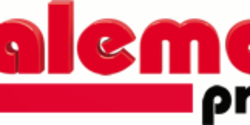 Alemdar Pressan Web Sitesinde Tespit Edilen Problemler ve Çözüm Önerileri