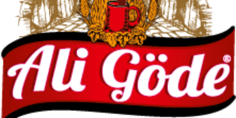 Ali Göde Şalgam Web Sitesinde Kullanıcı Deneyimini Olumsuz Etkileyen Sorunlar ve Çözüm Önerileri