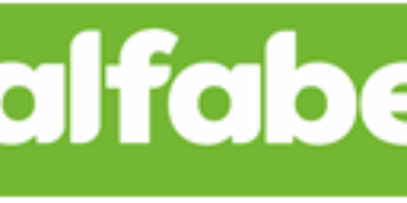 Alfabe Mobilya Web Sitesinde Tespit Edilen Problemler ve Çözüm Önerileri