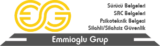 Emmioğlu Grup – Site Favicon’unun Emmioğlu Grup Logosu İle Uyumlu Olmaması