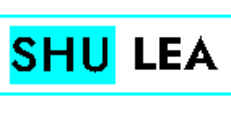 Shulea – Şirketin Facebook Sayfasının Açılmaması